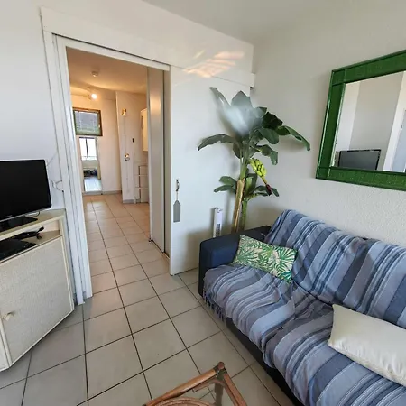 T2 Avec Terrasse Et Vue A 50m De La Plage, Avec Piscine - Fr-1-607-11